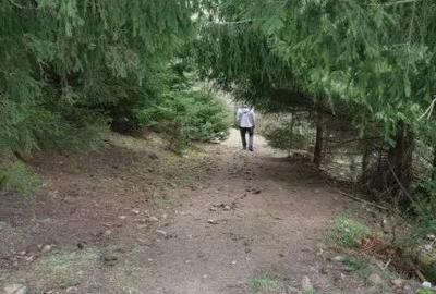 Teren de 15841 mp, în Muntele Rece - 2