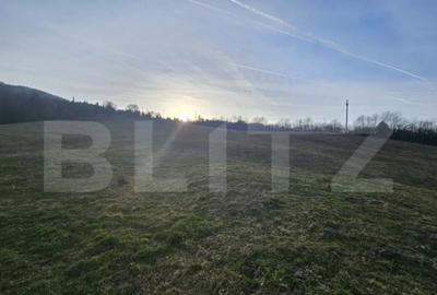 Teren de 16667 mp, în Abrud-Sat - 1