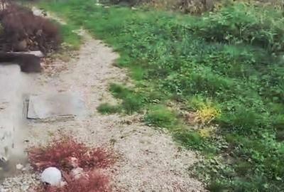 Casă cu 2 camere cu Teren 1080 Mp în Totoi - 3