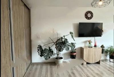 Fizicienilor,bl.reabilitat, monolit,DECOMANDAT,Amenajat,mobilat - 2
