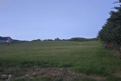 Teren de 5000 mp, în Șieu - 5