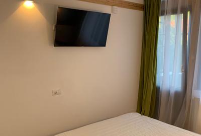 Apartament cu 2 camere decomandat în Ultracentral - 3