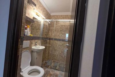 Apartament cu 2 camere decomandat în Drumul Carului - 4
