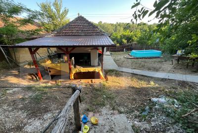 Casa renovata Varvoru de Sus, 30 mpu, 1000 mp curte. - 18