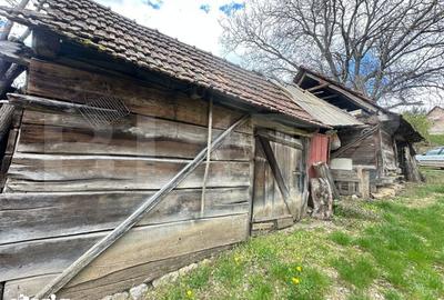 Casă cu 4 camere cu Teren 12186 Mp în Rapoltu Mare - 12