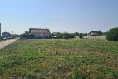 Parcelă casă individuală cu două fronturi și utilități| Dumbravita Parcelă casă individuală cu două fronturi și utilități| Dumbravita - 3