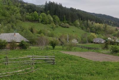 Spațiu comercial, în Potoci - 6