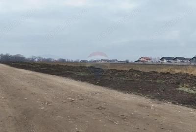 Teren 947 mp Sanpetru | Comision 0% | PUZ CU - 5