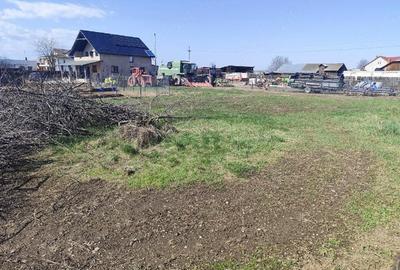 Casă cu Teren 1335 Mp în Săvinești - 8