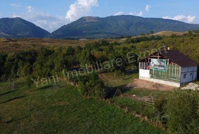 Casă cu 4 camere cu Teren 5051 Mp în Corbeni - 10