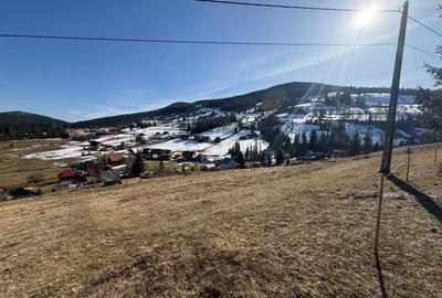 Teren Construcții intravilan de 12500 mp, în Galbena - 11