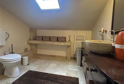 Casa Deosebita Ultracentral Oradea - 10