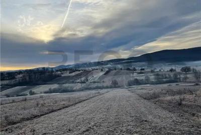 Teren de 2500 mp, în Vadu Crișului - 2