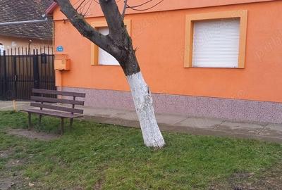 Casă cu 5 camere cu Teren 1347 Mp în Central - 1