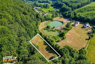 Spațiu comercial, în Valea Dobârlăului