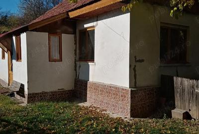 Casă cu 2 camere în Central - 1