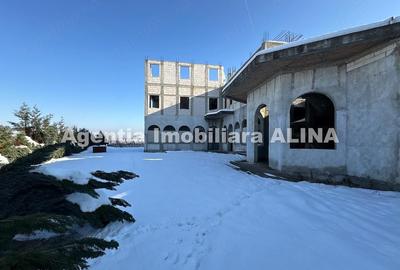 Spațiu comercial, de 2,500 mp, în 700 - 3
