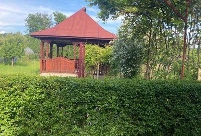 Casă cu 5 camere cu Teren 1600 Mp în Central - 1