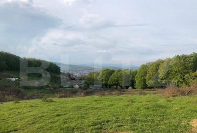 Teren extravilan de vanzare, 740 mp, zona Taberei - 2