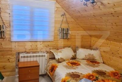 EXCLUSIV BLITZ !  Cabana in statiunea Muntele Baisorii - 12