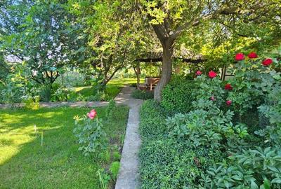 CASA SUPERBA in loc. SOMOVA jud TULCEA - 12