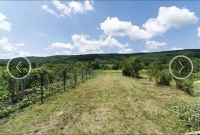 Casă cu Teren 3500 Mp în Drăganu - 8