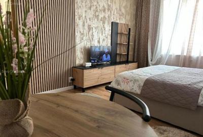 Garsonieră în Brâncoveanu - 5