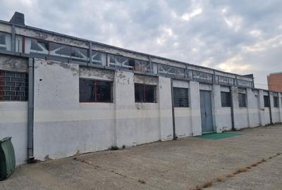 Închiriere Hală / Spațiu pentru Depozitare sau Producție – Zona Industrială Est, - 4