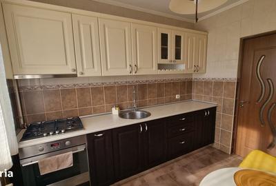 Apartament 2 camere de vanzare Drumul Taberei - 6