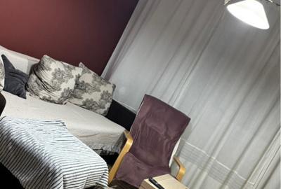 Apartament 2 camere Delfinului Iancului - 3