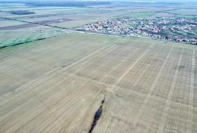 Teren de 540 mp, în Bucovăț (Remetea Mare)