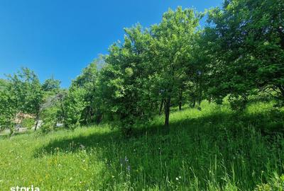 Teren de 3186 mp, în Poiana - 5