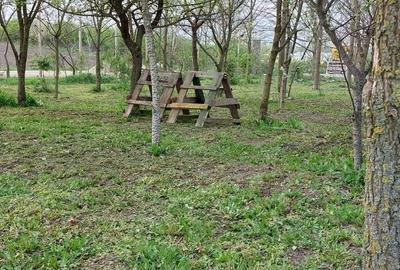 Teren de 1500 mp, în Zădăreni - 2