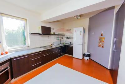 Casă cu 4 camere cu Teren 2834 Mp în Bozânta Mare - 5