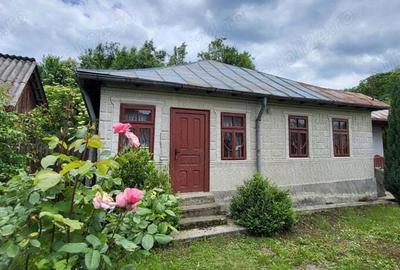 Casa de vanzare 140 m - teren de 2 400 m - sat Tronari, Judetul Buzau - 3