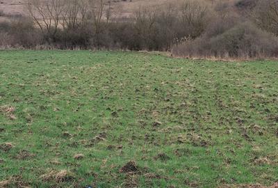Teren agricol extravilan de 1300 mp, în Giula - 1