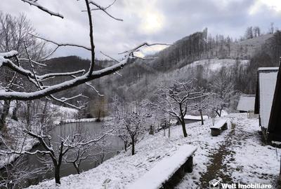 Casa de vacanta, cu lac, 5640 mp teren, Huta, com. Chiuiesti, jud. Cluj Casa de vacanta, cu lac, 5640 mp teren, Huta, com. Chiuiesti, jud. Cluj - 46