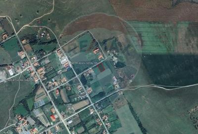 Teren de 1330 mp, în Drăgoiești - 6