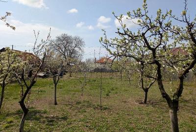 Teren de 845 mp, în Oreavul - 2