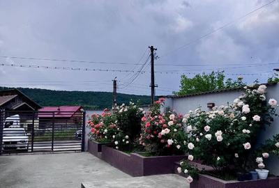 Casă cu Teren 867 Mp în Drăganu - 9