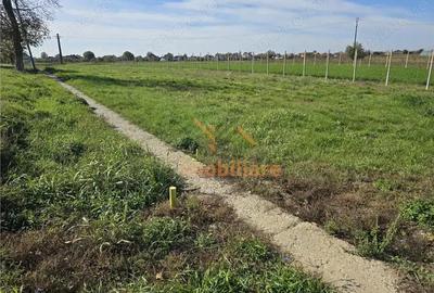 TEREN INTRAVILAN | 1400 MP | GIRISU DE CRIS - 4