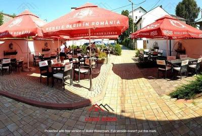 Spatiu comercial in Campina--540 mp--440.000e - 17