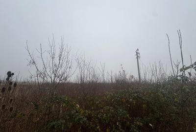 COMISION 0 | Teren intravilan | 17.700 mp | Zona Freidorf - 2