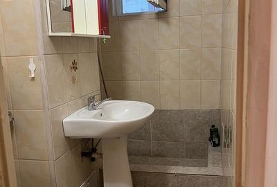 Garsonieră decomandată în Bucur Obor - 9