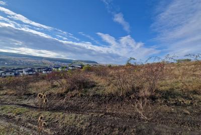 Teren Intravilan constructii 5500 mp  cu Puz In Chinteni - 4