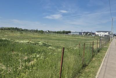 Teren Construcții intravilan de 9470 mp, în Chiajna - 5