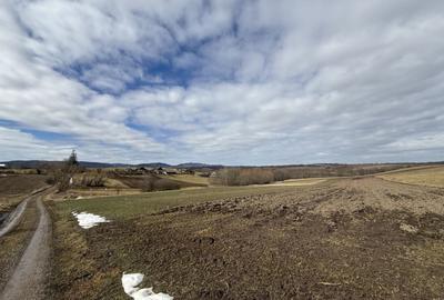 Teren Construcții intravilan de 1556 mp, în Horodnic de Jos - 1