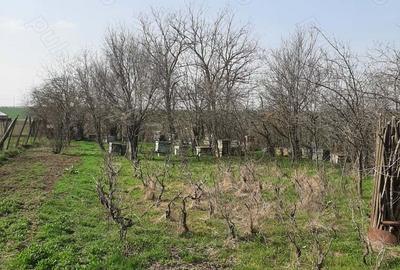 Refugiu la ?ara, aproape de Bucure?ti casa tradi?ionala cu teren 3.113 mp - 9