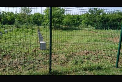 Teren de 496 mp, în Siliștea Snagovului - 6