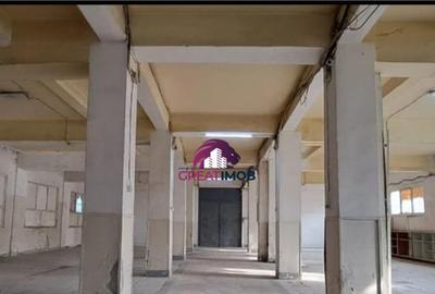 Hala de inchiriat Drumul intre Tarlale - 8